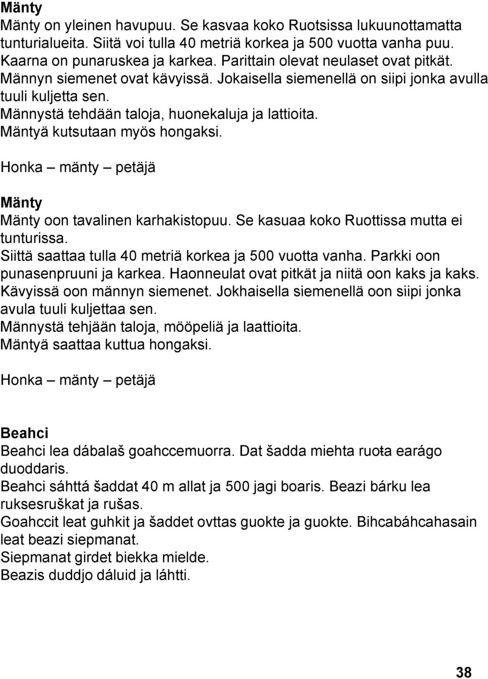 Mäntyä kutsutaan myös hongaksi. Honka mänty petäjä Mänty Mänty oon tavalinen karhakistopuu. Se kasuaa koko Ruottissa mutta ei tunturissa. Siittä saattaa tulla 40 metriä korkea ja 500 vuotta vanha.