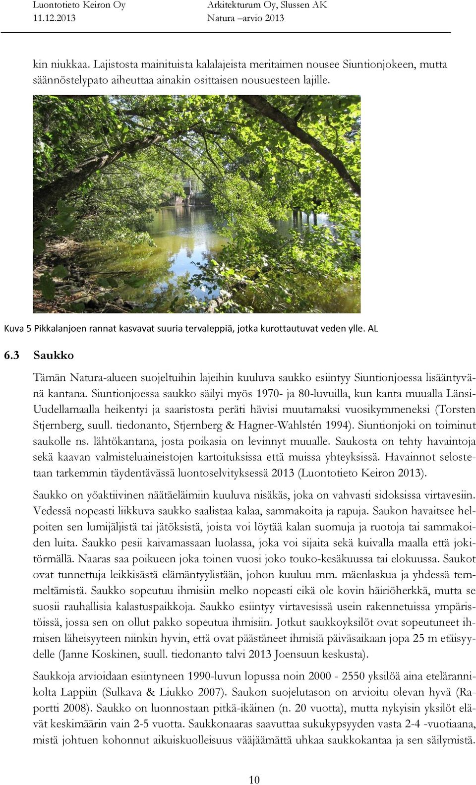 3 Saukko Tämän Natura-alueen suojeltuihin lajeihin kuuluva saukko esiintyy Siuntionjoessa lisääntyvänä kantana.