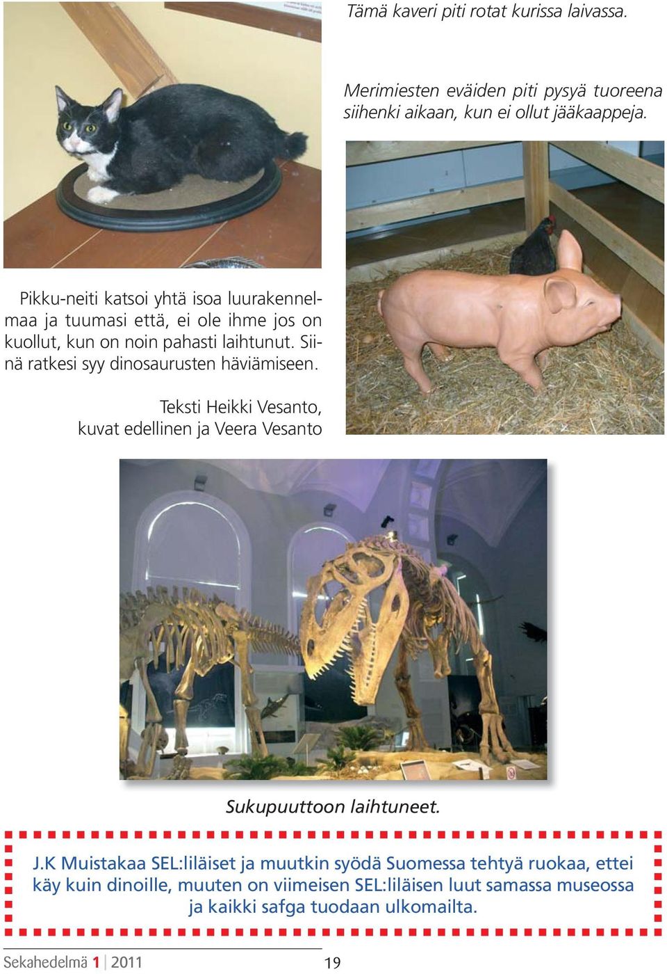 Siinä ratkesi syy dinosaurusten häviämiseen. Teksti Heikki Vesanto, kuvat edellinen ja Veera Vesanto Sukupuuttoon laihtuneet. J.
