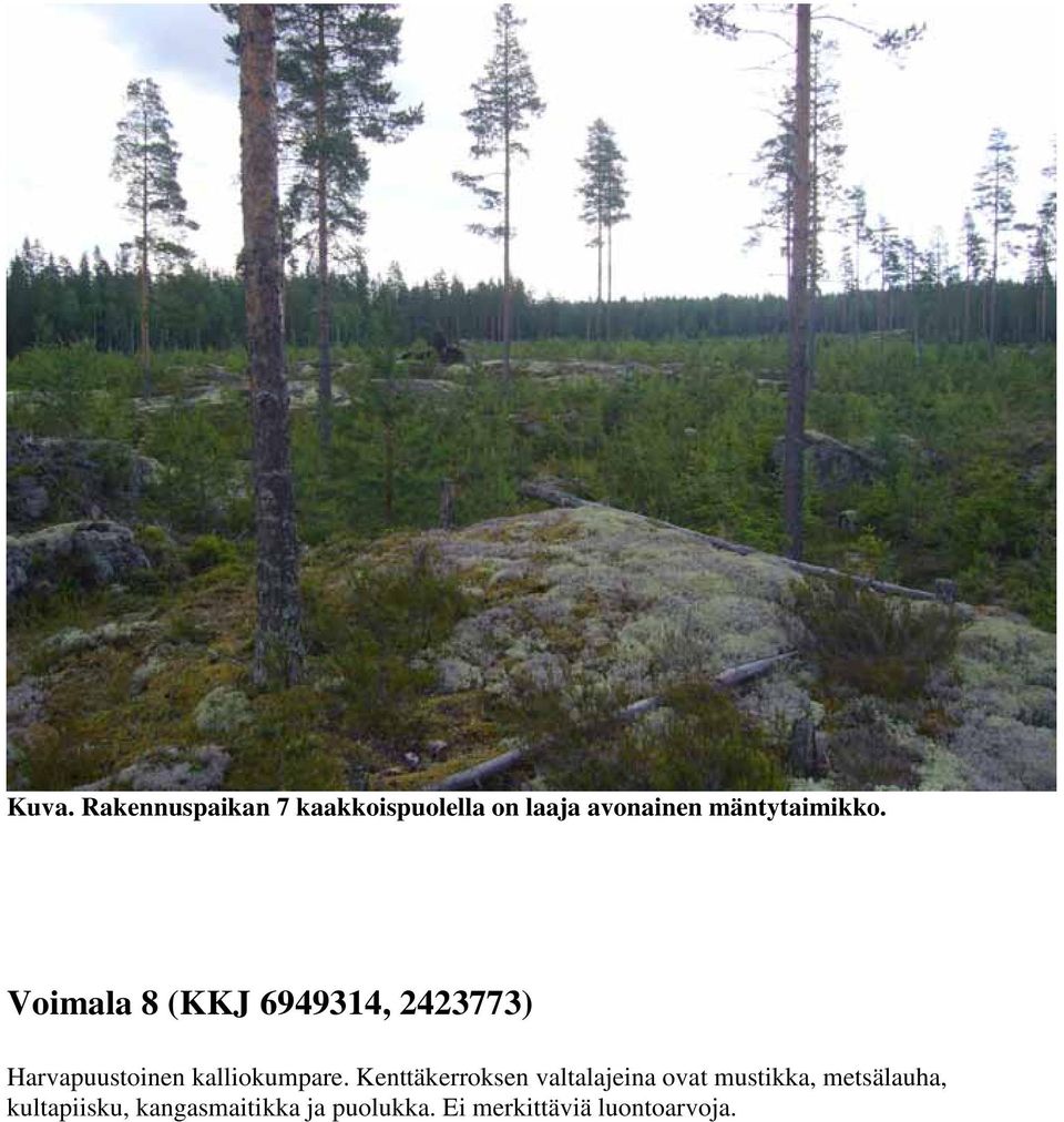 Voimala 8 (KKJ 6949314, 2423773) Harvapuustoinen kalliokumpare.