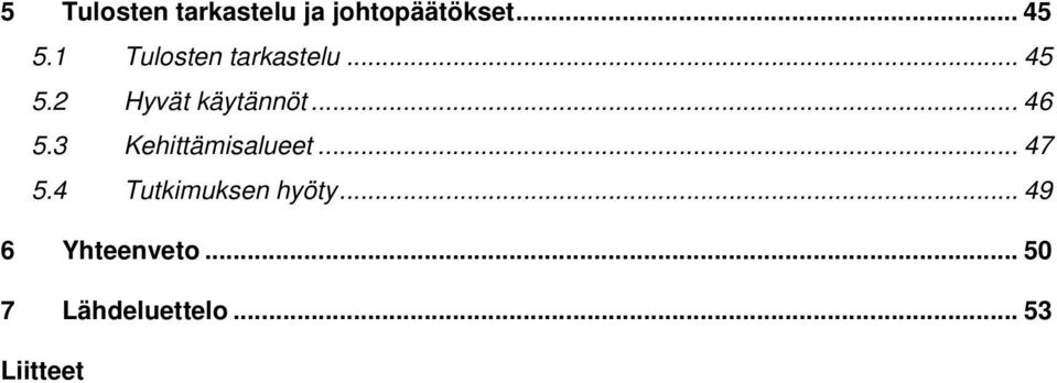 .. 46 5.3 Kehittämisalueet... 47 5.