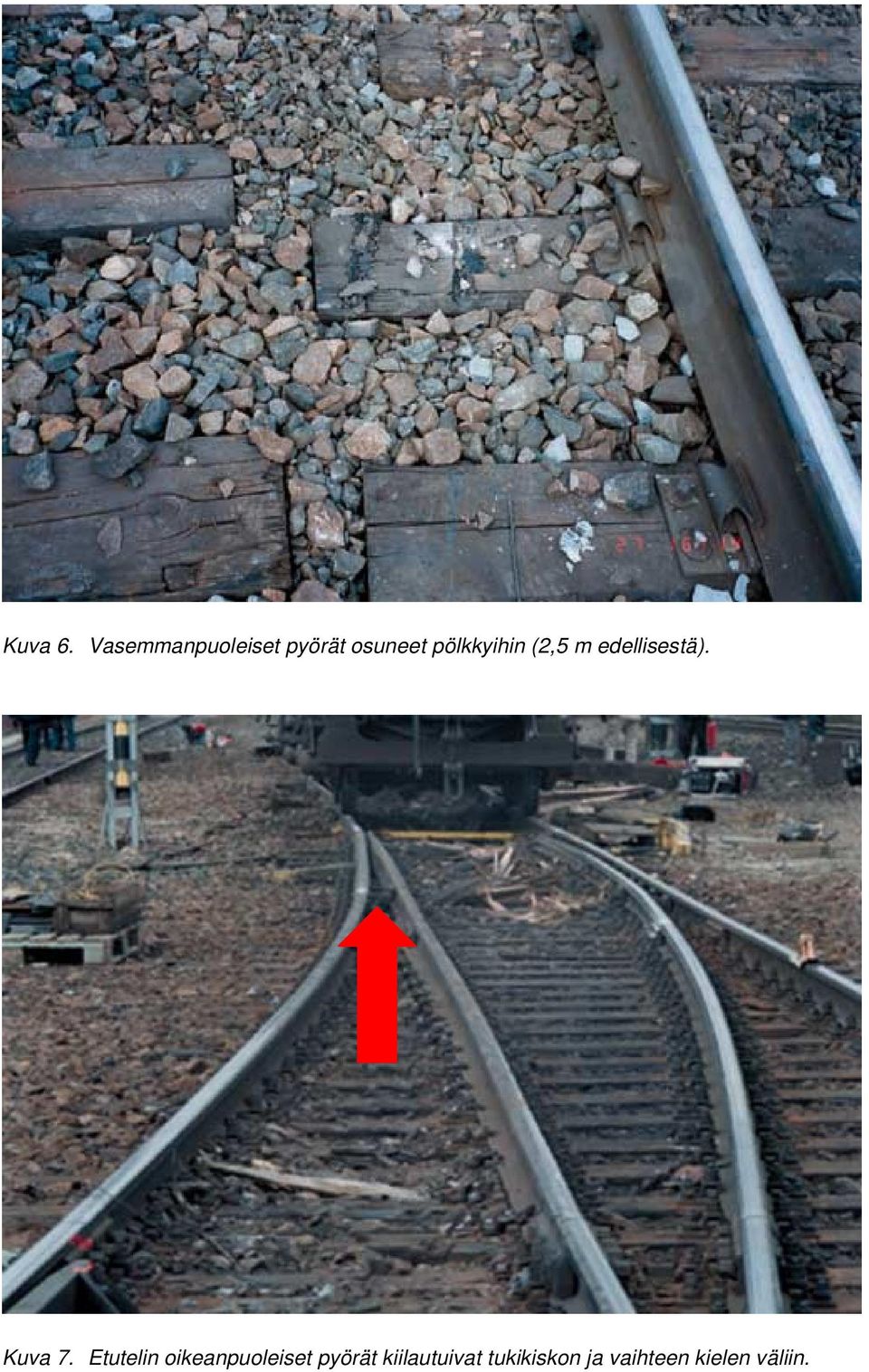 pölkkyihin (2,5 m edellisestä). Kuva 7.