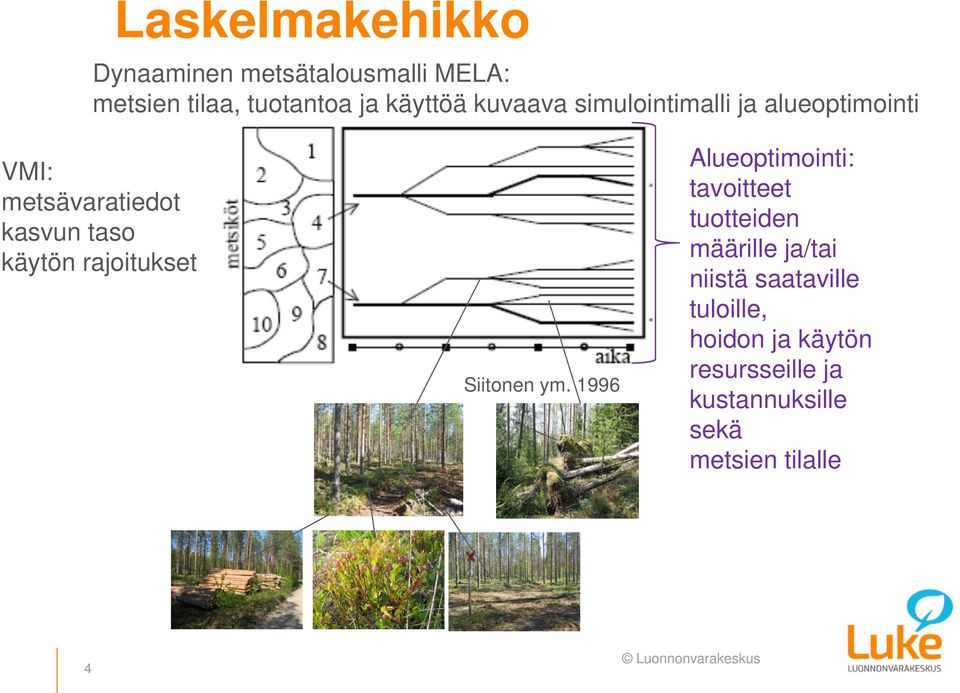 rajoitukset Siitonen ym.