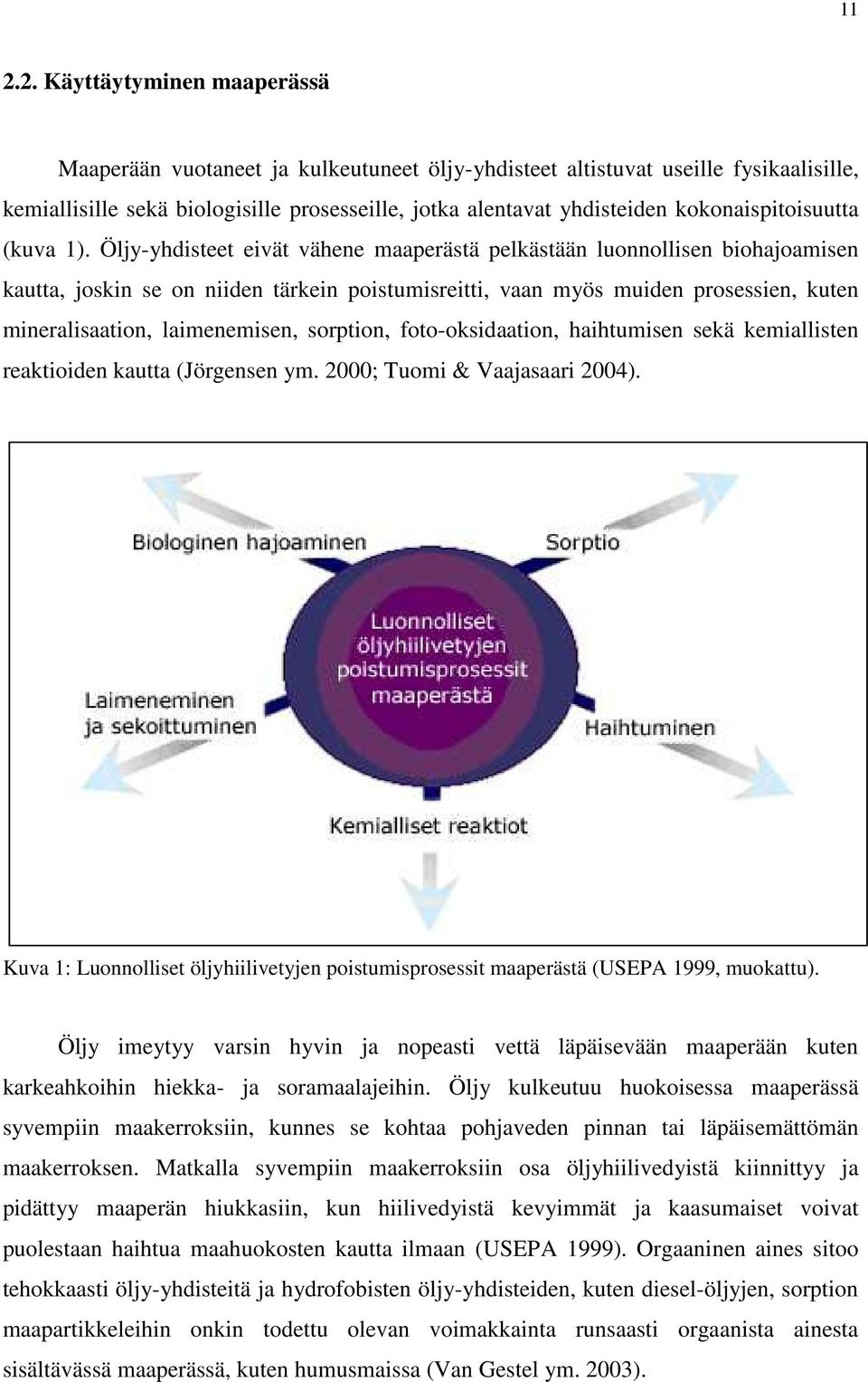 Öljy-yhdisteet eivät vähene maaperästä pelkästään luonnollisen biohajoamisen kautta, joskin se on niiden tärkein poistumisreitti, vaan myös muiden prosessien, kuten mineralisaation, laimenemisen,