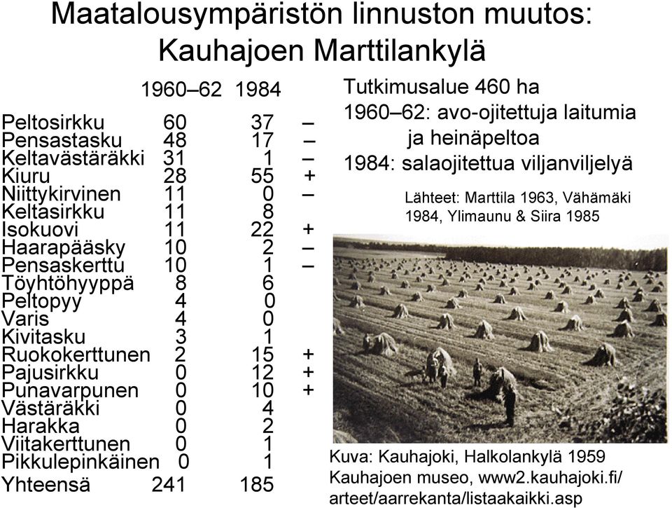 0 10 + Västäräkki 0 4 Harakka 0 2 Viitakerttunen 0 1 Pikkulepinkäinen 0 1 Yhteensä 241 185 Tutkimusalue 460 ha 1960 62: avo-ojitettuja laitumia ja heinäpeltoa 1984: