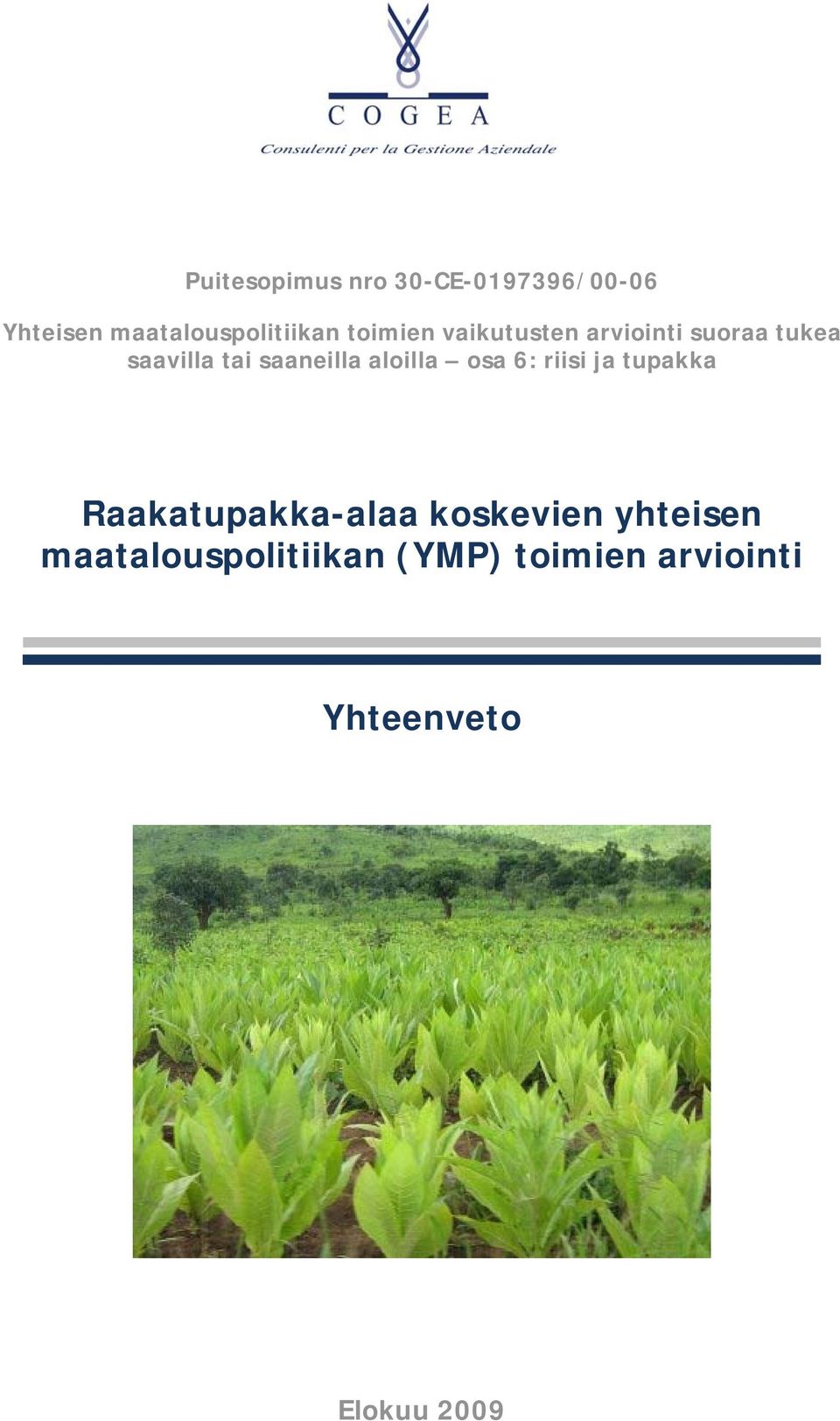 aloilla osa 6: riisi ja tupakka Raakatupakka-alaa koskevien