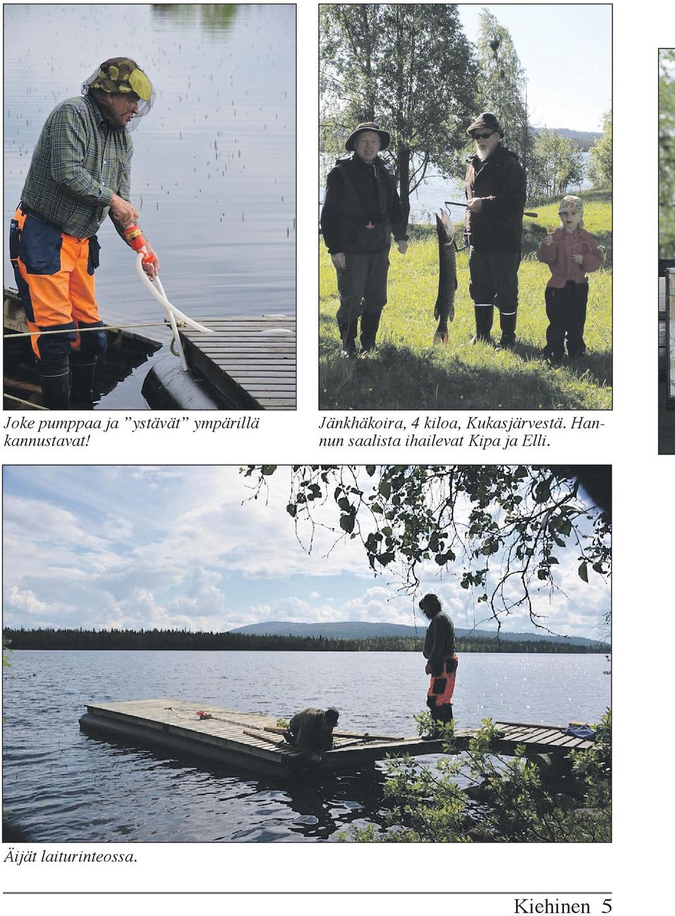 Jänkhäkoira, 4 kiloa, Kukasjärvestä.