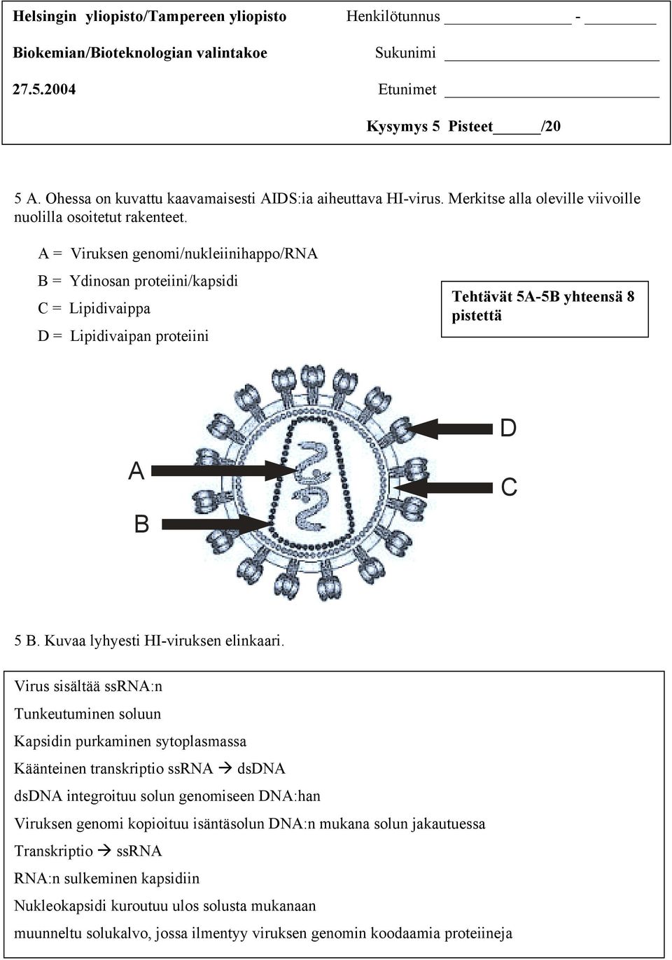 A irukse geomi/ukeiiihappo/rna B Ydiosa proteiii/kapsidi C Lipidivaippa D Lipidivaipa proteiii Tehtävät 5A-5B yhteesä 8 pistettä A B D C 5 B. Kuvaa yhyesti I-virukse eikaari.