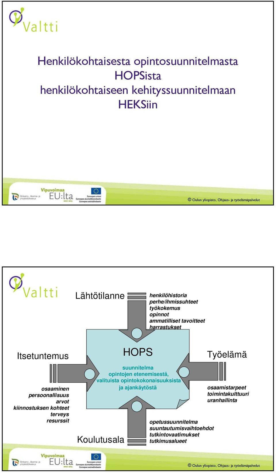 kiinnostuksen kohteet terveys resurssit HOPS suunnitelma opintojen etenemisestä, valituista opintokokonaisuuksista ja