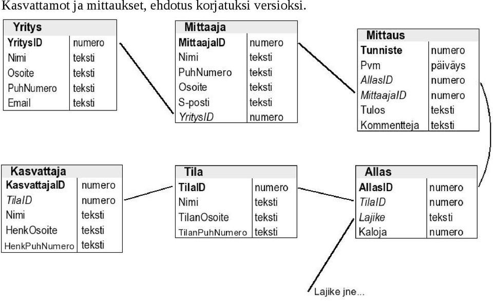 mittaukset,