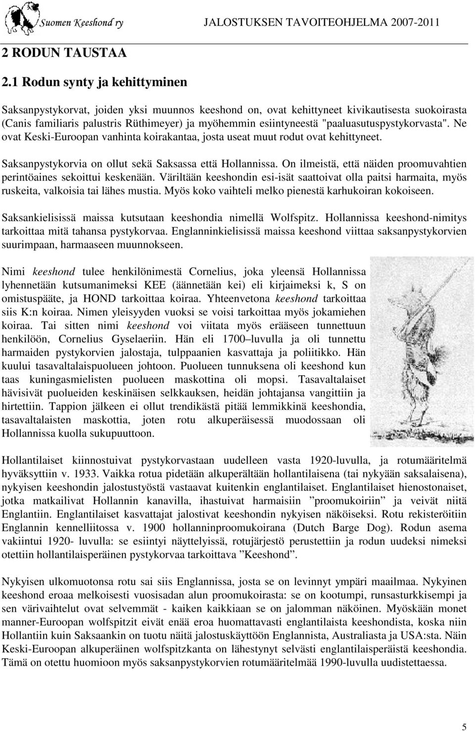 "paaluasutuspystykorvasta". Ne ovat Keski-Euroopan vanhinta koirakantaa, josta useat muut rodut ovat kehittyneet. Saksanpystykorvia on ollut sekä Saksassa että Hollannissa.