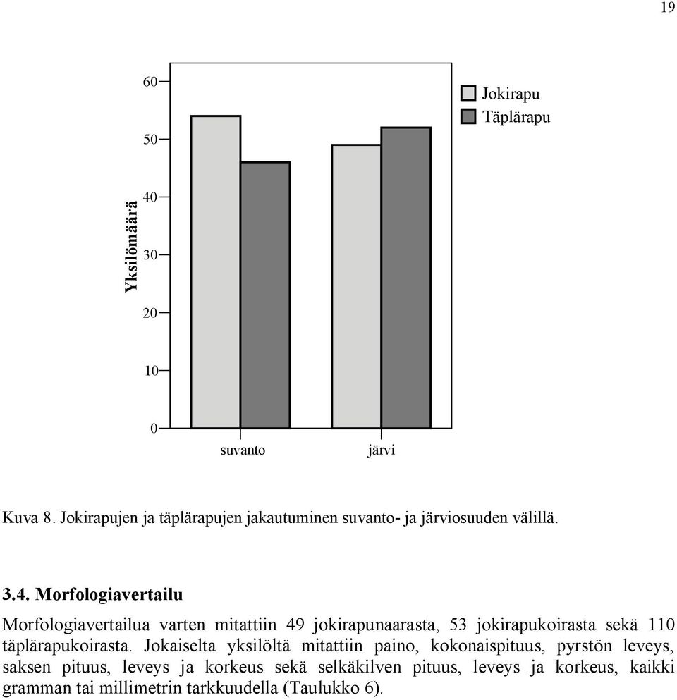 Morfologiavertailu Morfologiavertailua varten mitattiin 49 jokirapunaarasta, 53 jokirapukoirasta sekä 110