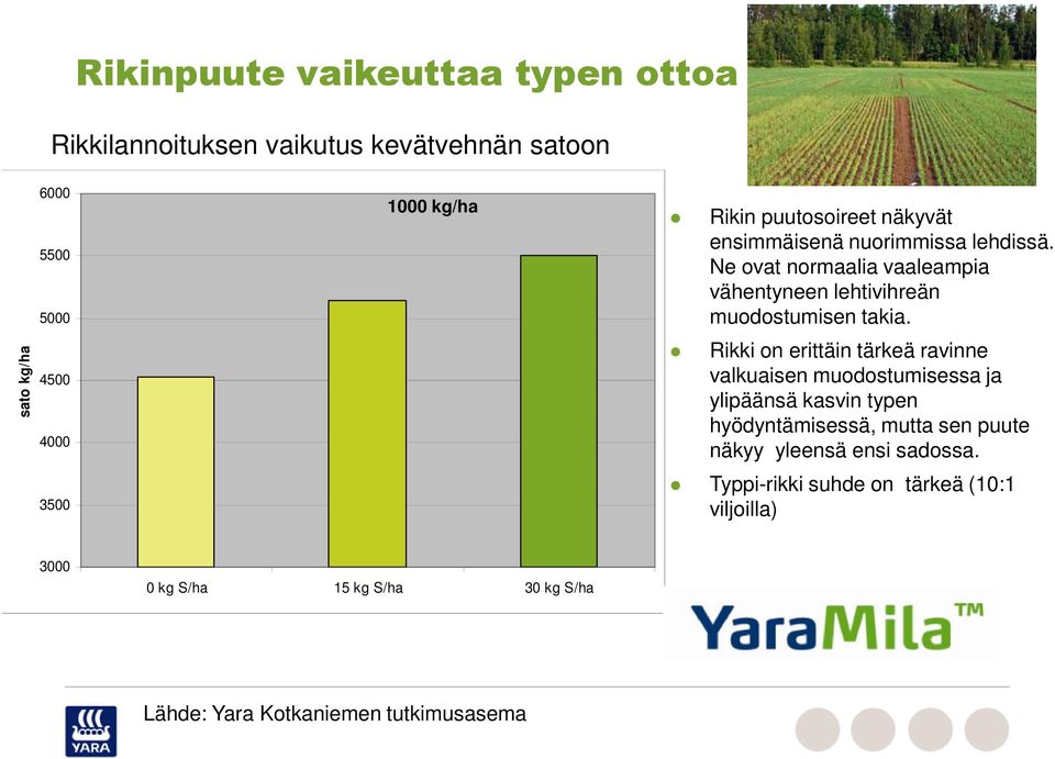 Rikki on erittäin tärkeä ravinne valkuaisen muodostumisessa ja ylipäänsä kasvin typen hyödyntämisessä, mutta sen puute näkyy yleensä