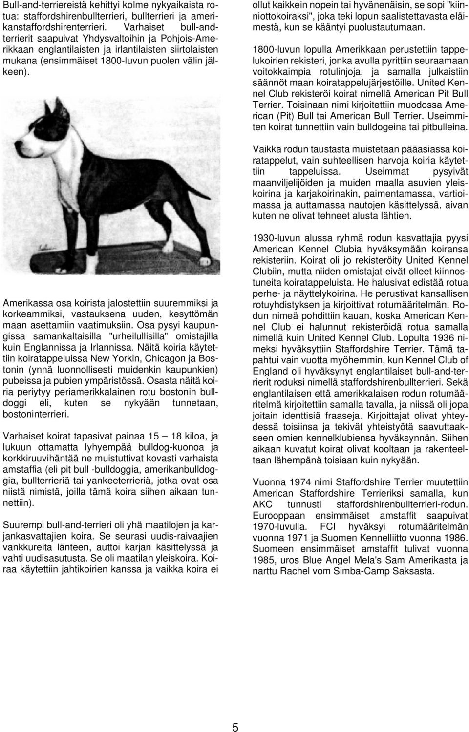 ollut kaikkein nopein tai hyvänenäisin, se sopi "kiinniottokoiraksi", joka teki lopun saalistettavasta eläimestä, kun se kääntyi puolustautumaan.