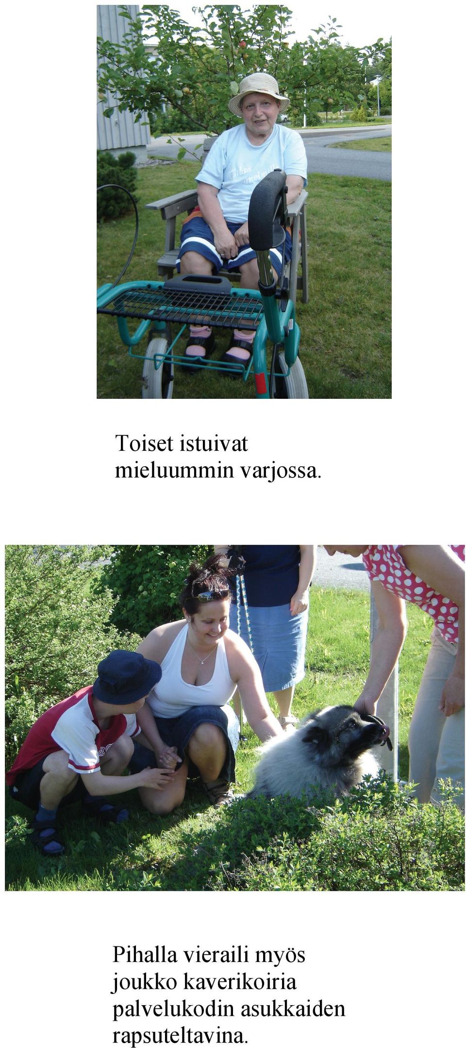 Pihalla vieraili myös joukko