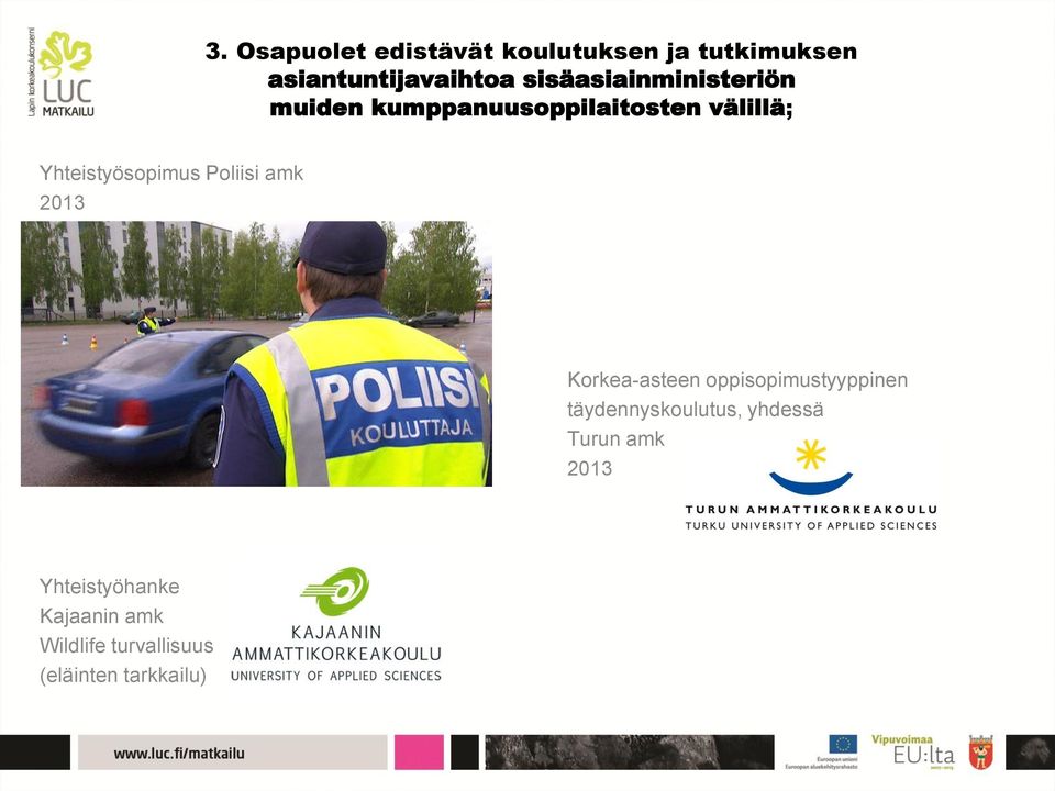 amk 2013 Matkailun turvallisuusjohtaminen 30 op Korkea-asteen oppisopimustyyppinen