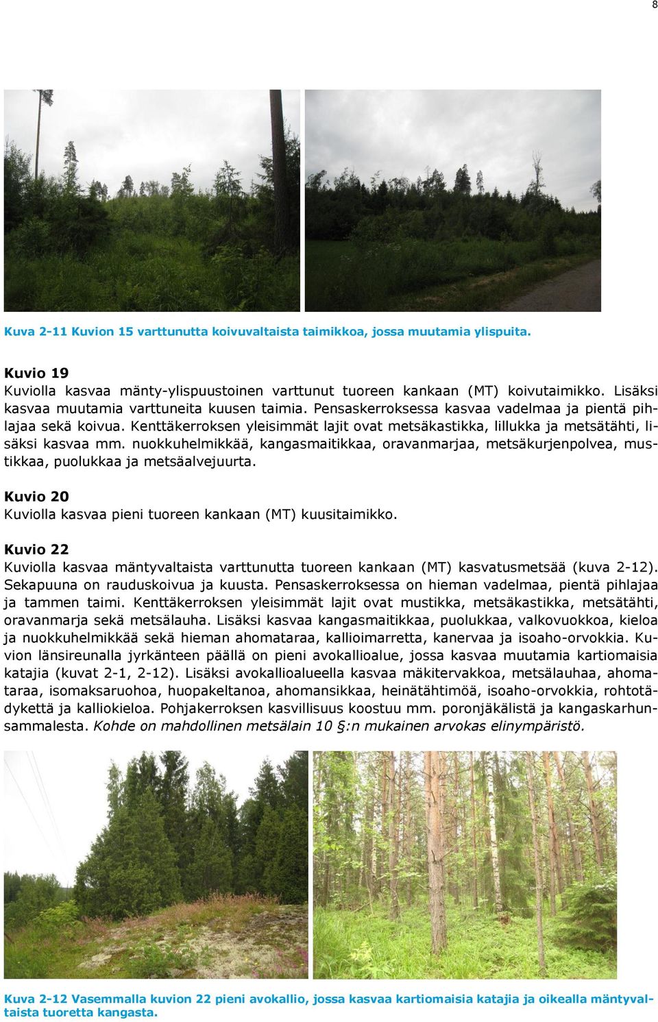 Kenttäkerroksen yleisimmät lajit ovat metsäkastikka, lillukka ja metsätähti, lisäksi kasvaa mm.