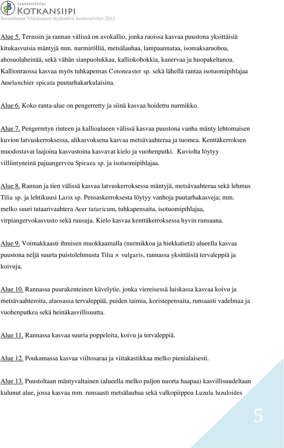 sekä lähellä rantaa isotuomipihlajaa Amelanchier spicata puutarhakarkulaisina. Alue 6. Koko ranta-alue on pengerretty ja siinä kasvaa hoidettu nurmikko. Alue 7.