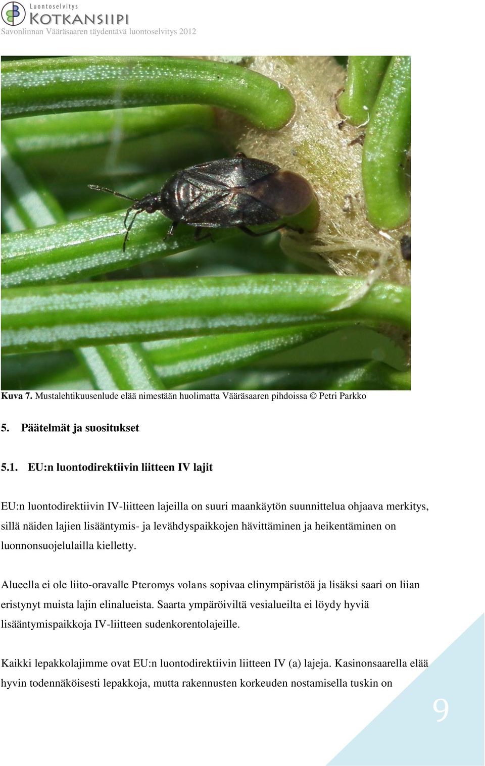 hävittäminen ja heikentäminen on luonnonsuojelulailla kielletty. Alueella ei ole liito-oravalle Pteromys volans sopivaa elinympäristöä ja lisäksi saari on liian eristynyt muista lajin elinalueista.