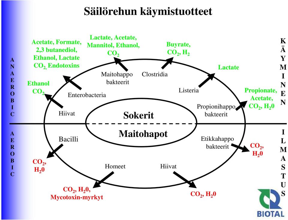 2, H 2 Listeria Lactate Propionihappo bakteerit Propionate, Acetate, CO 2, H 2 0 K Ä Y M I N E N A E R O B I C CO 2, H 2