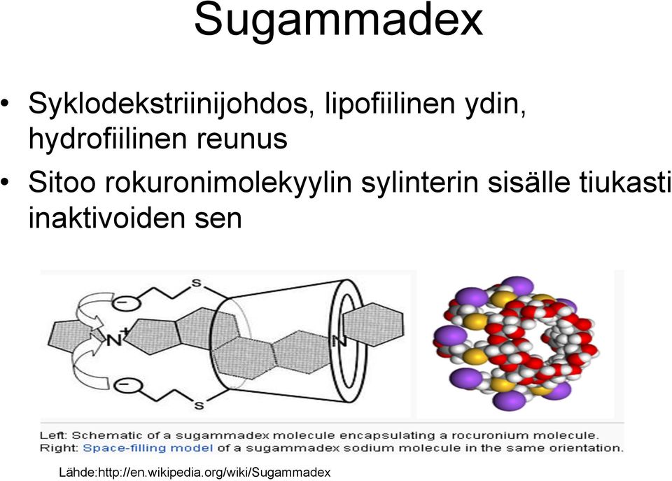 rokuronimolekyylin sylinterin sisälle tiukasti