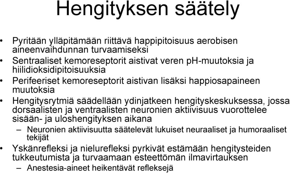 dorsaalisten ja ventraalisten neuronien aktiivisuus vuorottelee sisään- ja uloshengityksen aikana Neuronien aktiivisuutta säätelevät lukuiset neuraaliset ja