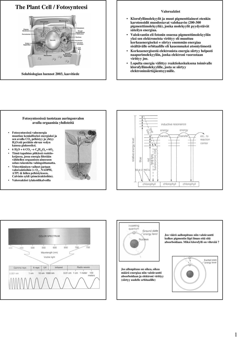 Valokvantin eli fotonin osuessa pigmenttimolekyyliin yksi sen elektroneista virittyy eli muuttuu korkeaenergiseksi = siirtyy enemmän energiaa sisältävälle orbitaalille eli kauemmaksi atomiytimestä