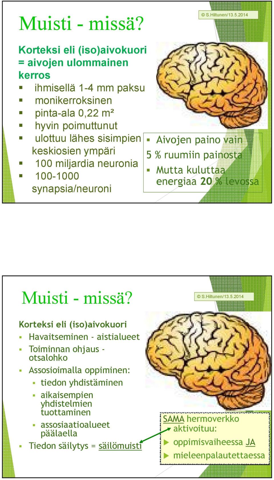 Aivojen paino vain keskiosien ympäri 5 % ruumiin painosta 100 miljardia neuronia 100-1000 synapsia/neuroni Mutta kuluttaa energiaa 20 % levossa  Korteksi eli