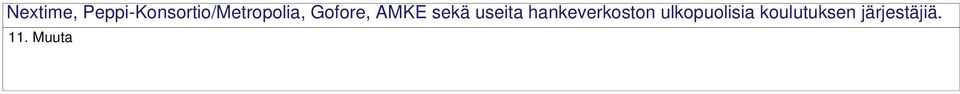 Gofore, AMKE sekä useita