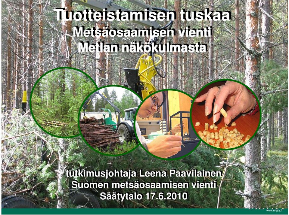 Leena Paavilainen Paavilainen tutkimusjohtaja Suomen metsäosaamisen