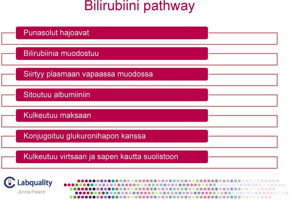 albumiiniin Kulkeutuu maksaan Konjugoituu