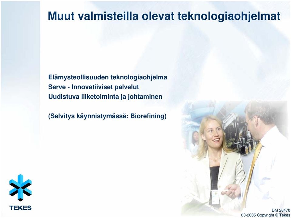 teknologiaohjelma Serve - Innovatiiviset palvelut