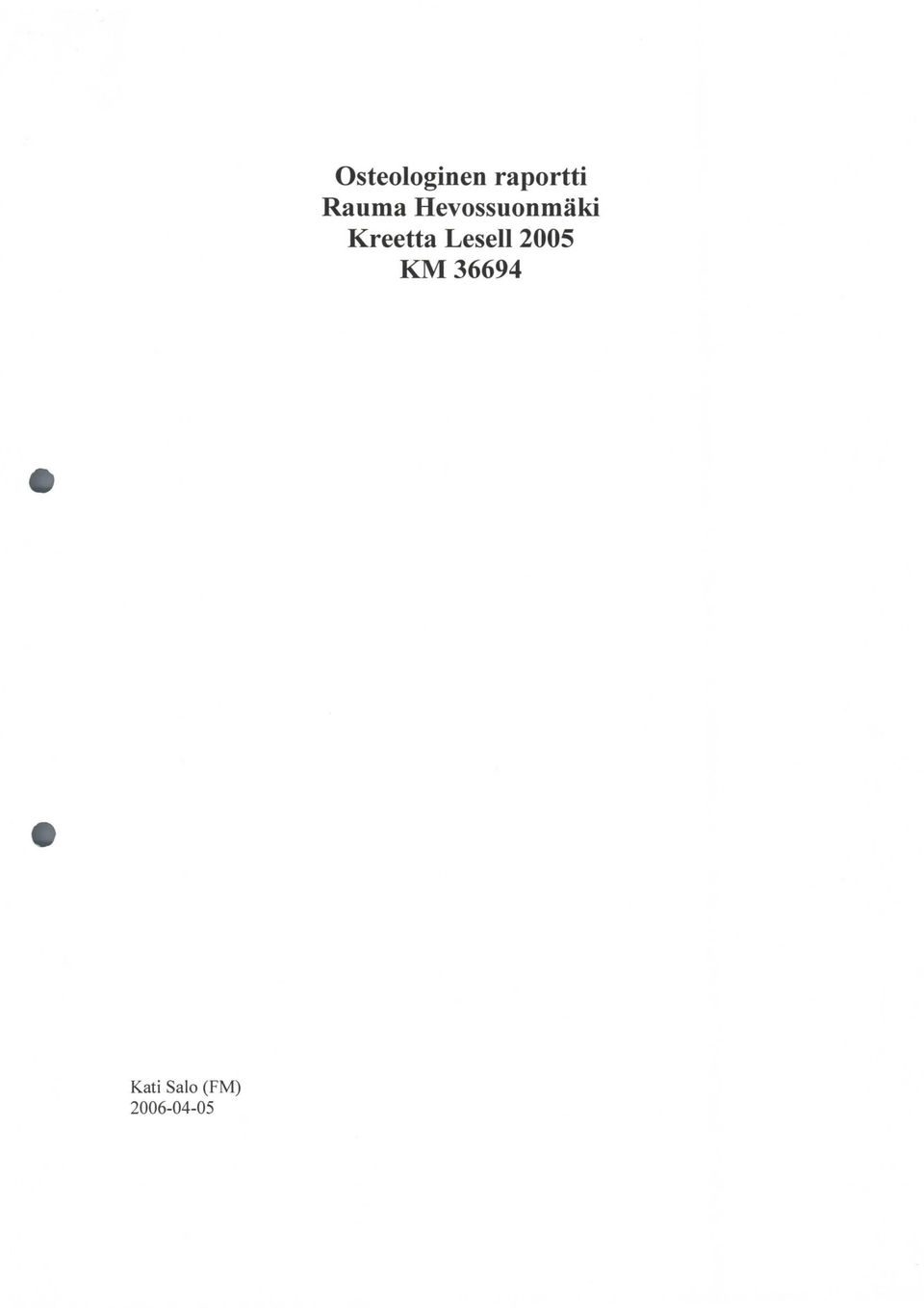 raportti Rauma