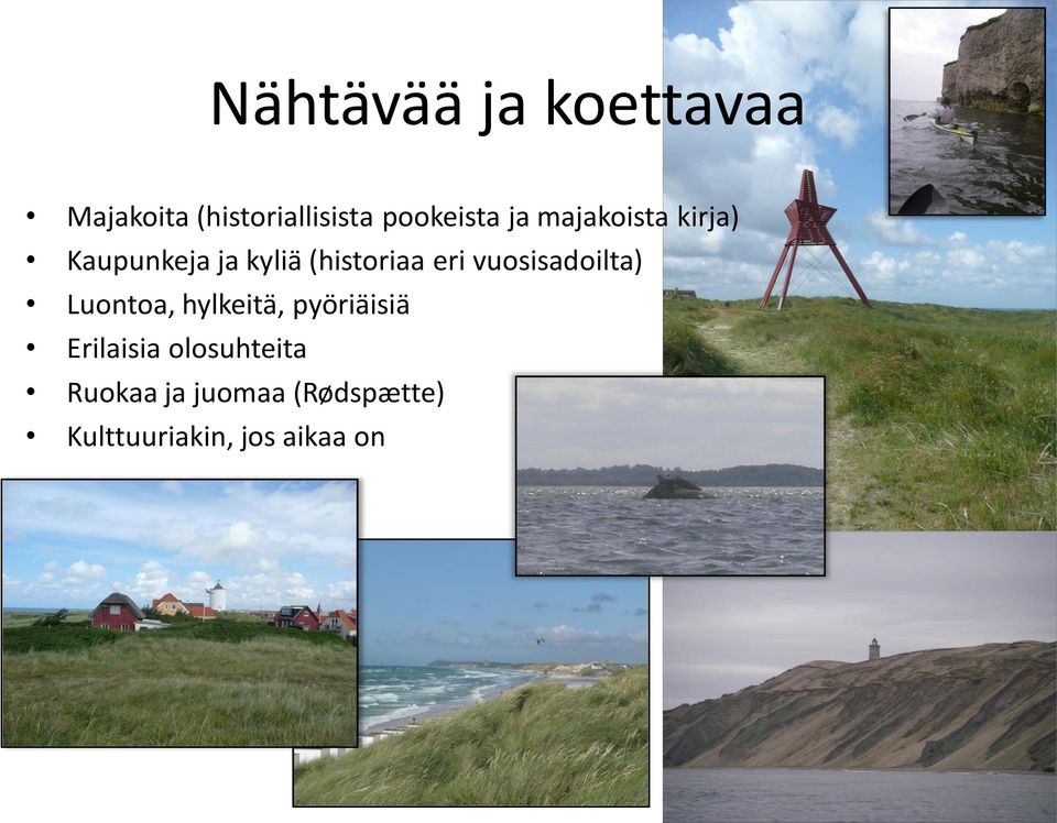 vuosisadoilta) Luontoa, hylkeitä, pyöriäisiä Erilaisia