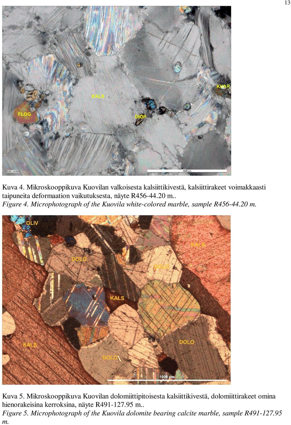 vaikutuksesta, näyte R456-44.20 m.. Figure 4. Microphotograph of the Kuovila white-colored marble, sample R456-44.20 m. Kuva 5.