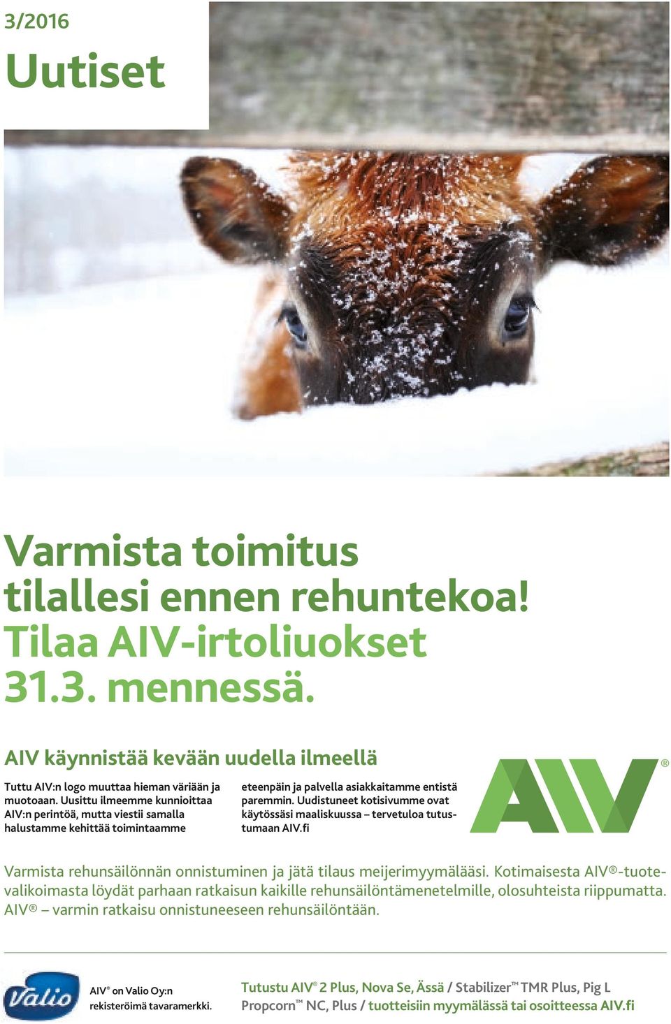 Uudistuneet kotisivumme ovat käytössäsi maaliskuussa tervetuloa tutustumaan AIV.fi Varmista rehunsäilönnän onnistuminen ja jätä tilaus meijerimyymälääsi.
