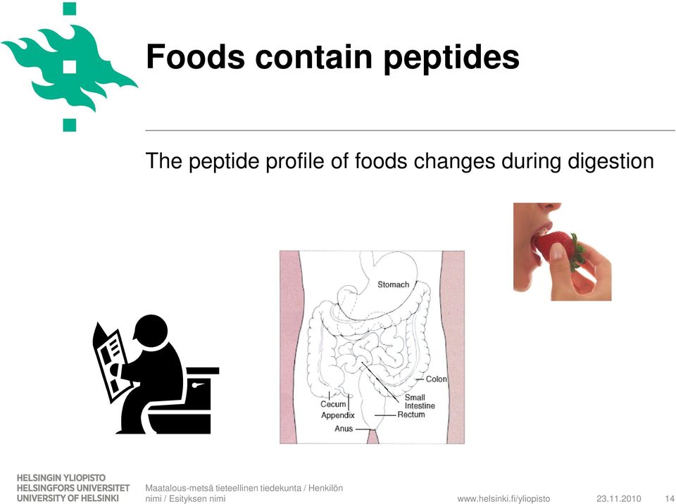 changes during digestion www.