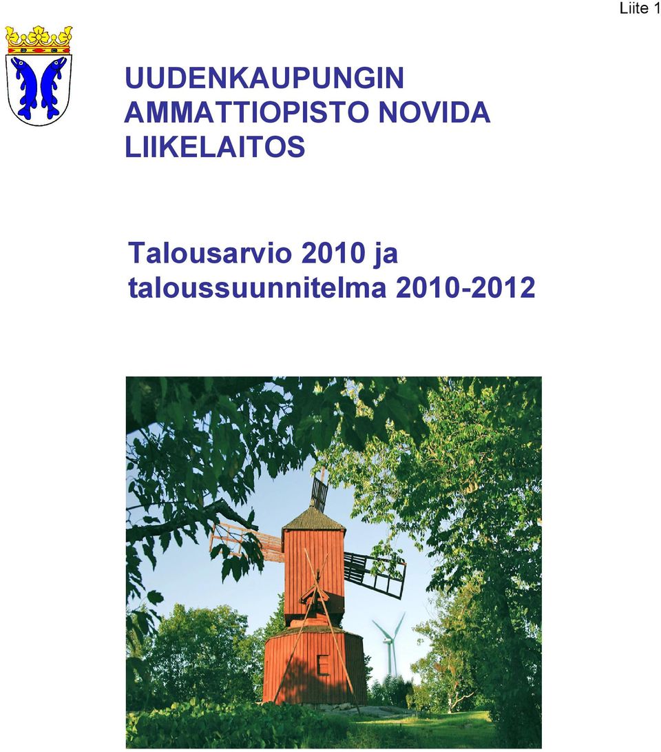 LIIKELAITOS Talousarvio