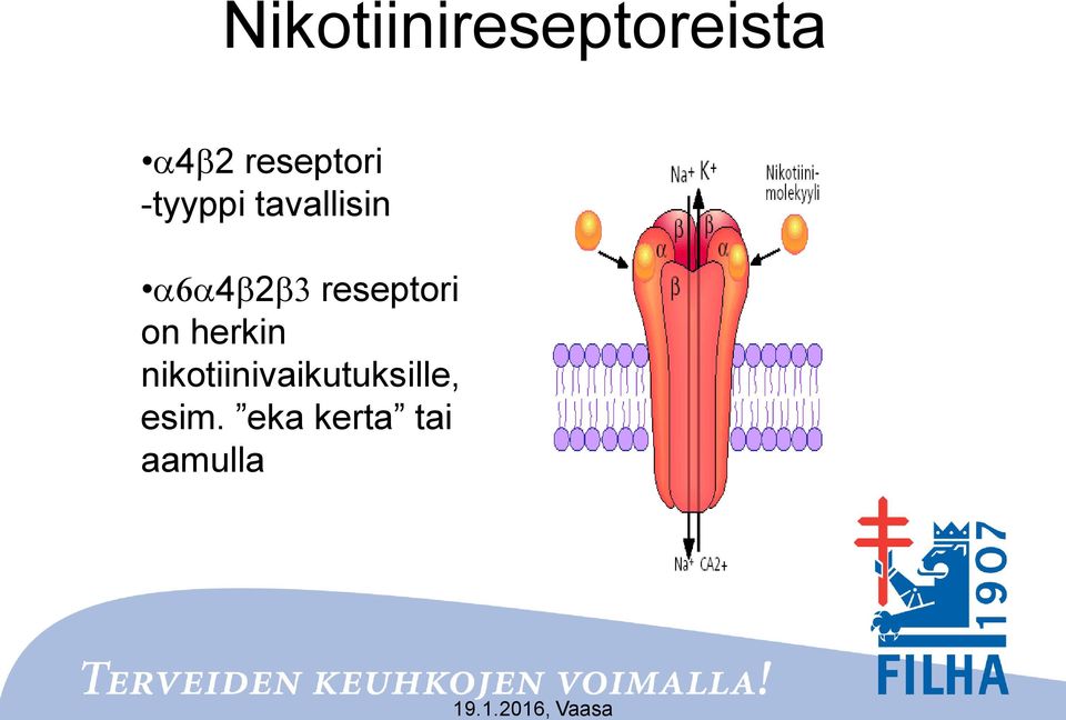 a6a4b2b3 reseptori on herkin
