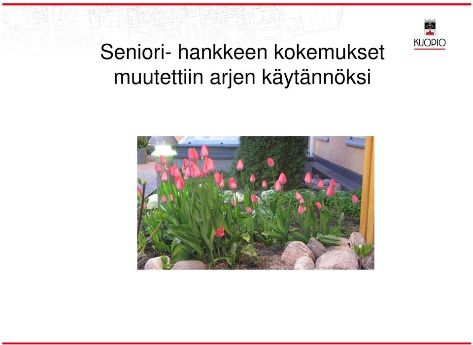 kokemukset