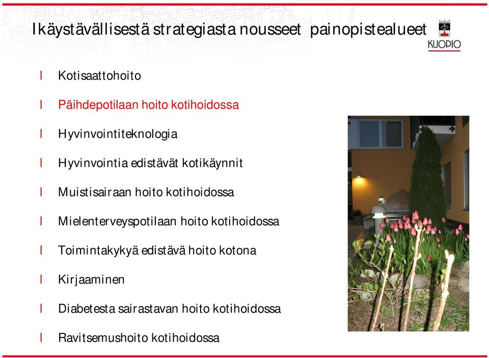 Muistisairaan hoito kotihoidossa Mieenterveyspotiaan hoito kotihoidossa Toimintakykyä