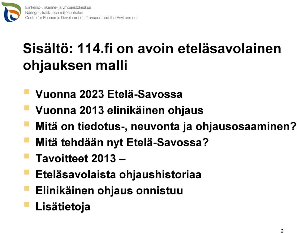 Vuonna 2013 elinikäinen ohjaus Mitä on tiedotus-, neuvonta ja