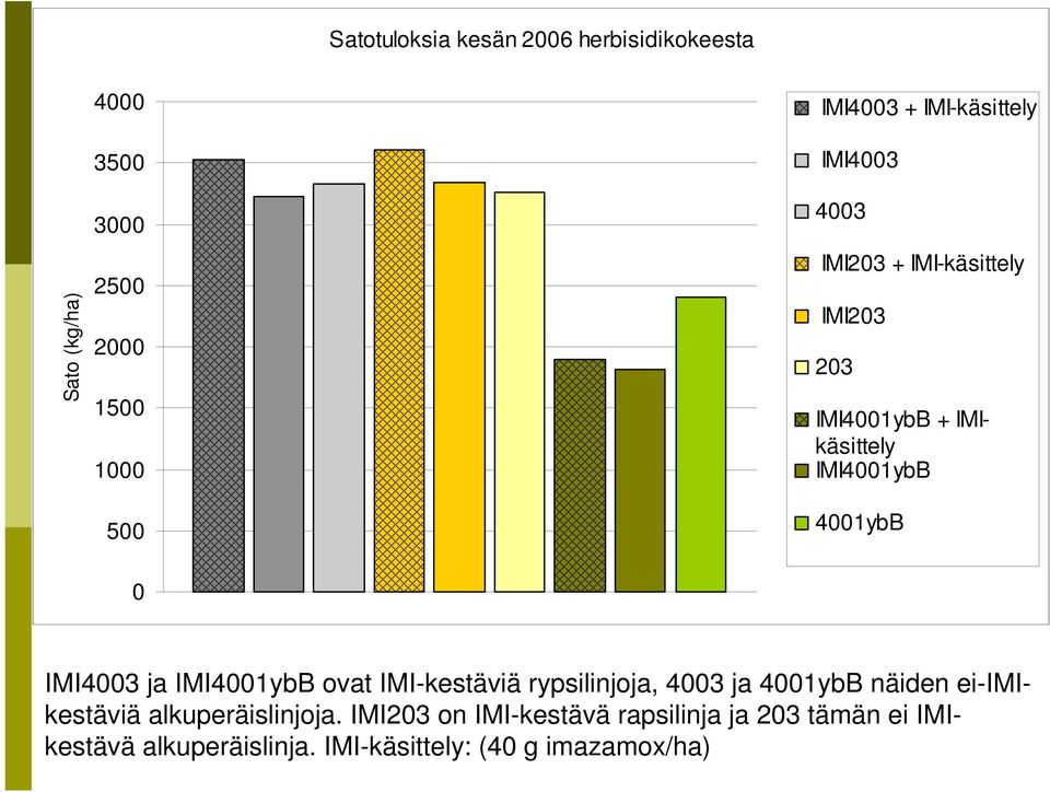 IMI4003 ja IMI4001ybB ovat IMI-kestäviä rypsilinjoja, 4003 ja 4001ybB näiden ei-imikestäviä