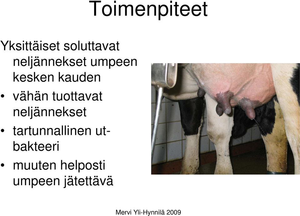 tuottavat neljännekset tartunnallinen