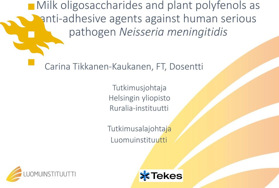 Carina Tikkanen-Kaukanen, FT, Dosentti Tutkimusjohtaja