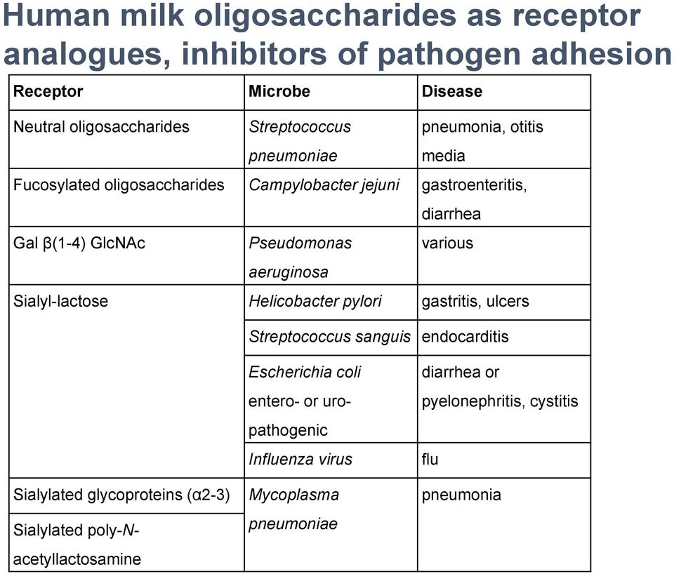 diarrhea various Sialyl-lactose Helicobacter pylori gastritis, ulcers Streptococcus sanguis endocarditis Sialylated glycoproteins (α2-3) Sialylated
