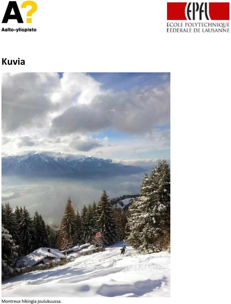 hikingia