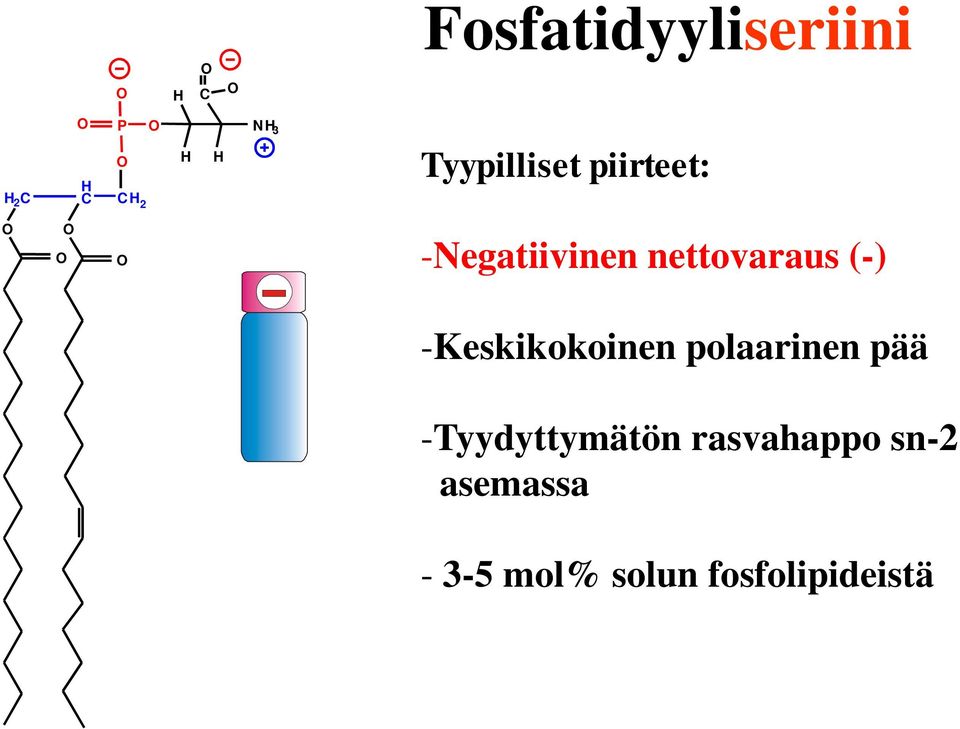 (-) -Keskikokoinen polaarinen pää