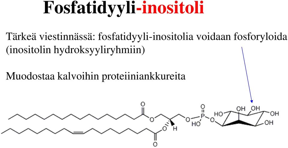 voidaan fosforyloida (inositolin