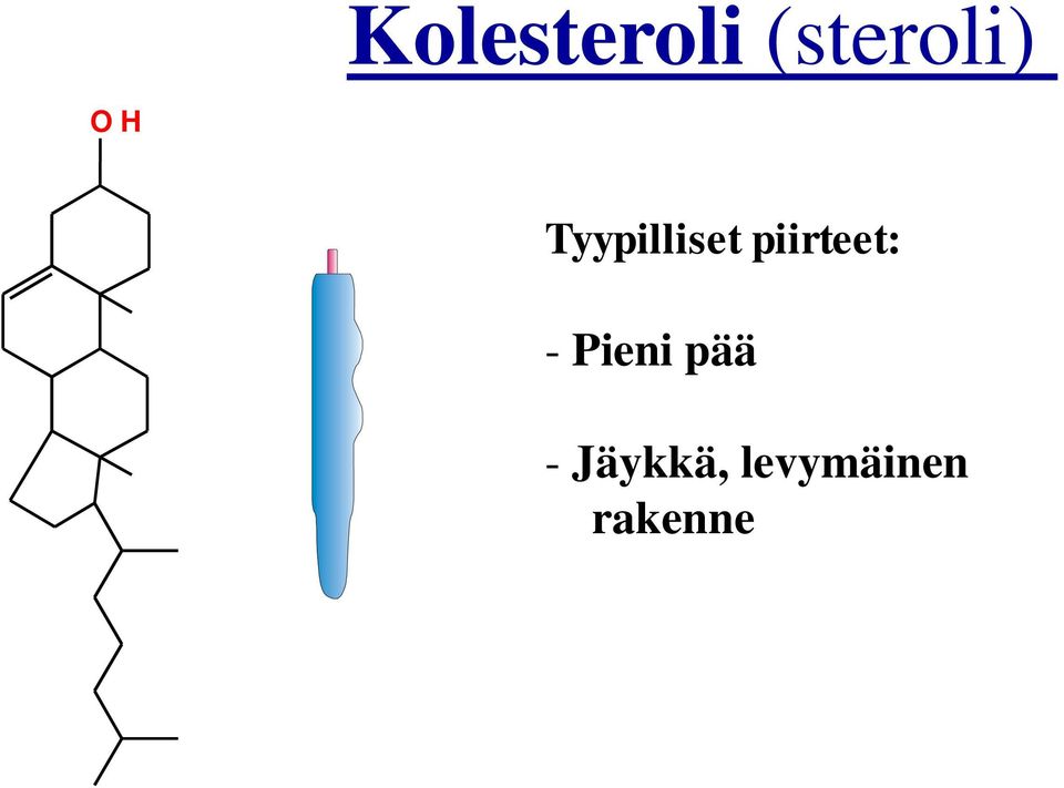 Tyypilliset